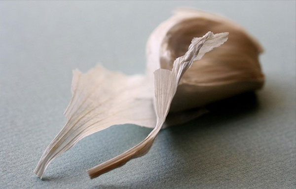 mirosuri-in-bucatarie